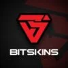 BitSkins