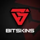 BitSkins