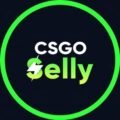 CSGOSelly